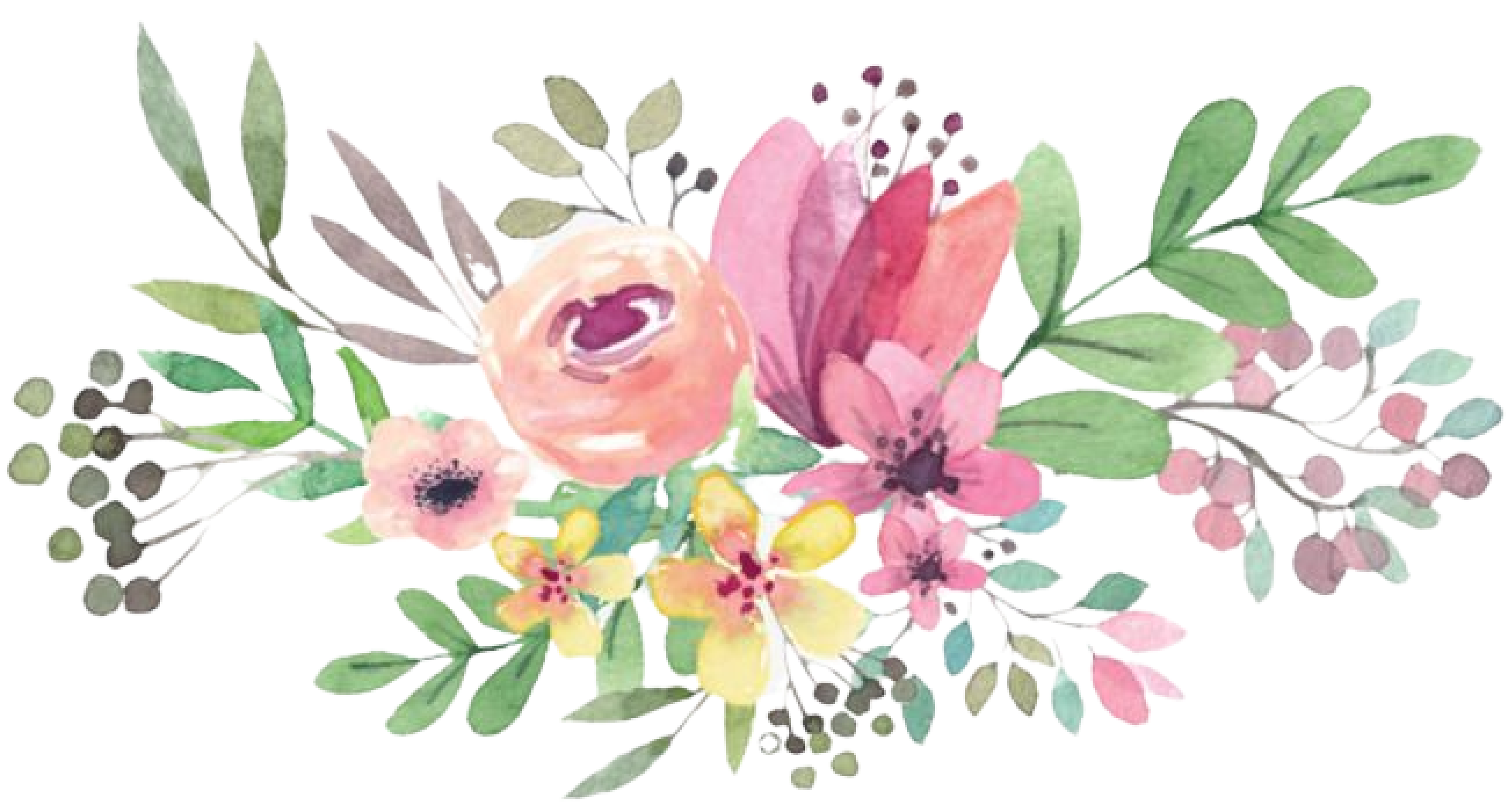 flower illustration